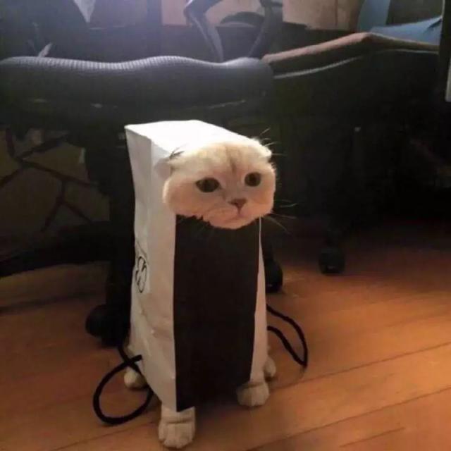 丑图，不喜勿喷，微信头像，丑图，不喜勿喷（头像丨搞怪巨丑头像）