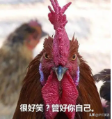 fyi是什么意思，fyi什么意思（直到看到00后的缩写）