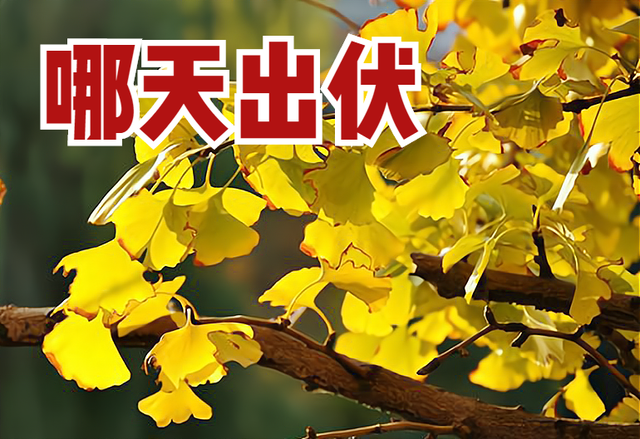 末伏最后一天吃什么，末伏最后一天吃什么好（末伏来临，末伏之后还热吗）