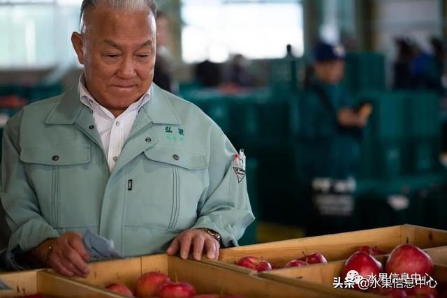 果蜜是什么，柠檬果蜜是什么（走进日本苹果第一大县“青森县”）