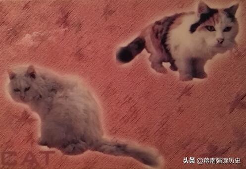 义薄云天是什么动物，义蒲云天指什么动物（为什么只有鼠年）