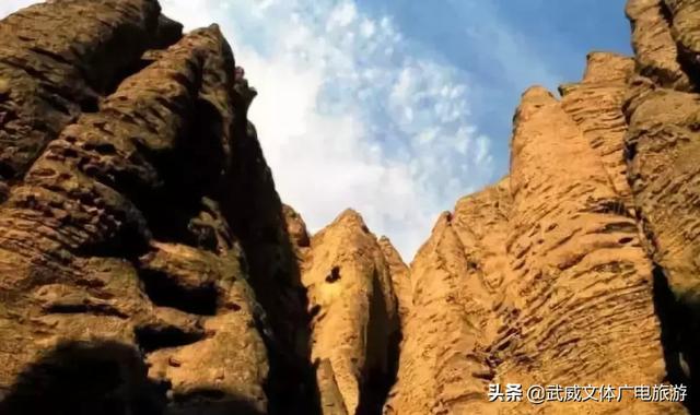 0935是哪的区号,095是哪个地方的区号(这是我2019年最新简历) 0935是哪的区号,095是哪个地方的区号(这是我2019年最新简历)