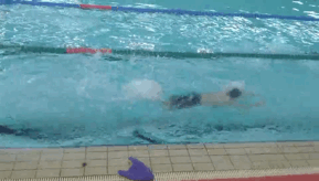 简单蝶泳练习方法，蝶泳教学步骤（揪出错误根源，对症下药）