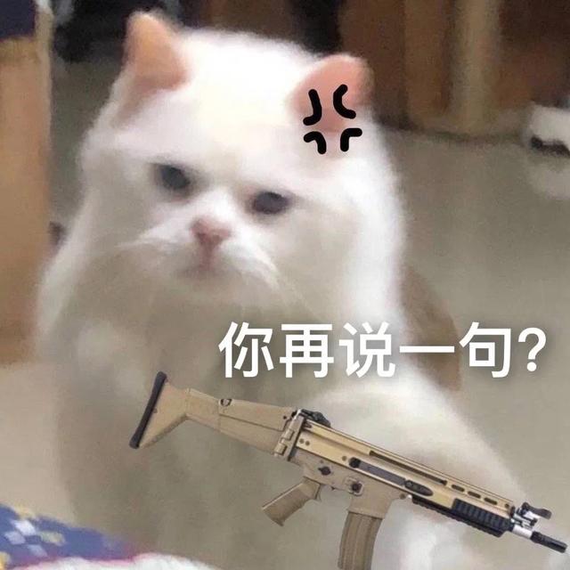 泪奔与泪崩的区别，表情包：泪崩了