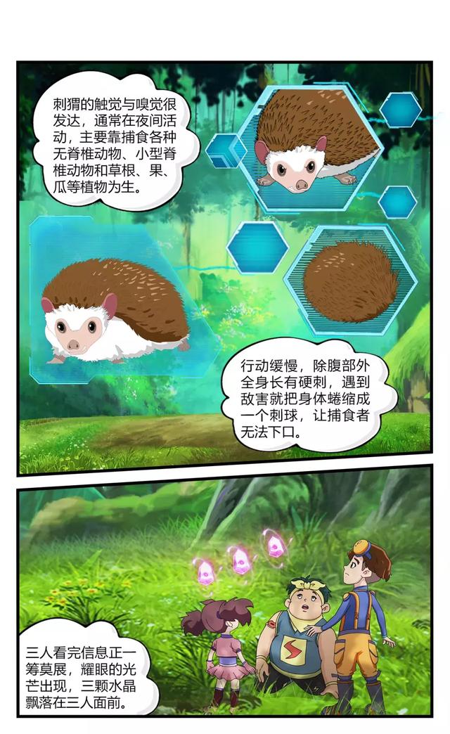 刺猬吃什么食物，刺猬吃什么（你知道刺猬为什么会长一身刺吗）