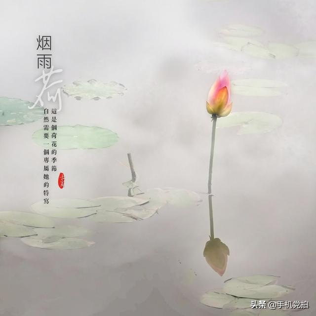 轻烟老树寒鸦什么意思，轻烟老树寒鸦前面一句是什么（不妨跟着“古诗”拍拍看）