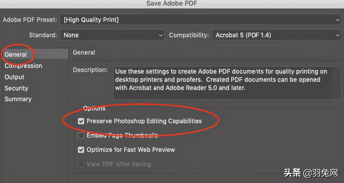 pdf矢量图是什么意思（pdf图片是矢量图吗）