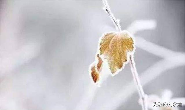 丧头像女 抑郁，#丧#致郁系头像:）微信（致郁的心灵苦寻自愈与解脱）