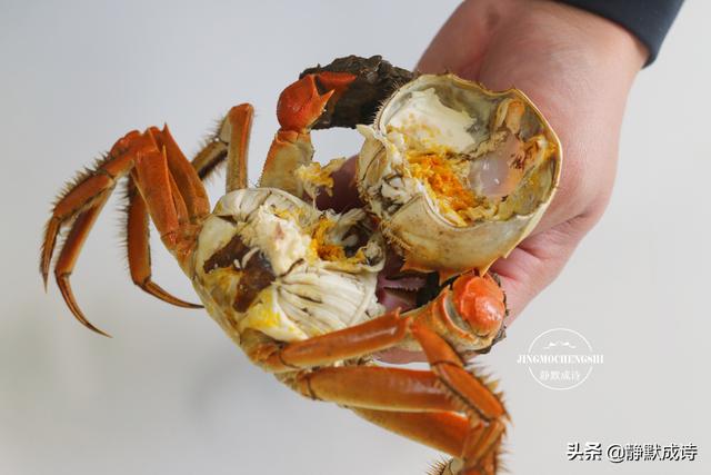 大闸蟹蒸多久最佳时间，大闸蟹蒸多久是最佳时间（哪些部位不能吃）