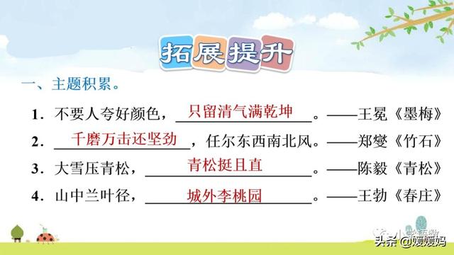 悠扬的近义词，“悠扬”的近义词是什么（四年级下册语文第11课《白桦》图文详解及同步练习）