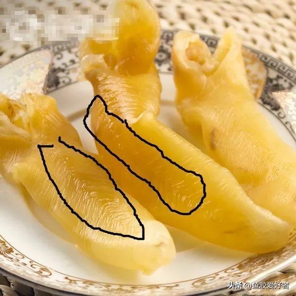 鱼胶和花胶哪个更好，花胶好还是鱼胶好些（花胶跟鱼胶有区别吗）