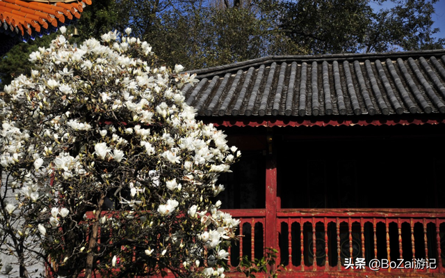 云南大理有哪些地方值得一去，在云南大理有哪些地方可游玩（到云南大理旅游必去的17大景点）