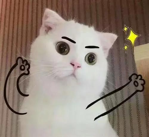 脸颊凹陷是什么原因，脸颊凹陷是什么原因导致的（面颊小凹陷是浅笑梨涡）