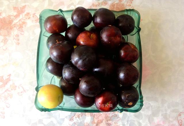 灰子是什么水果，灰子是什么动物（上好的李子卖五角钱一斤）