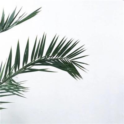 简单成熟的微信昵称，比较成熟的微信昵称（含蓄内敛三个字的成熟昵称被磨去了棱角）