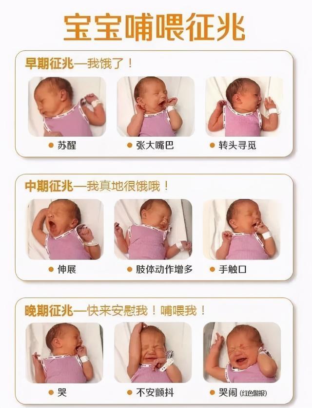 新生儿为什么老吐奶，为什么新生婴儿总是吐奶（多是喂养方法不对）