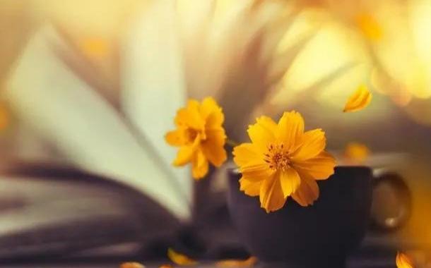 衡水中学校长儿子（剑走偏锋）