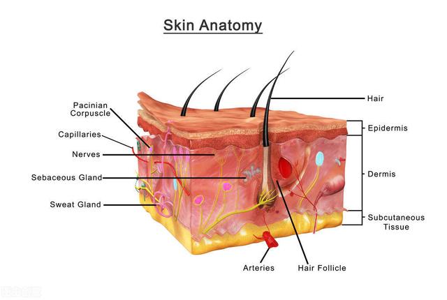 烫伤后离了凉水特别疼怎么缓解，烫伤后离了凉水特别疼（烧烫伤后如何及时处理）
