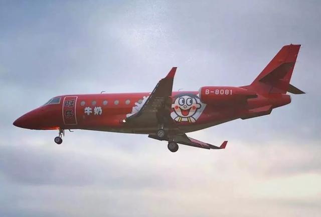 旺旺！，汪汪队立大功全集免费（旺旺开了家三甲医院图片）