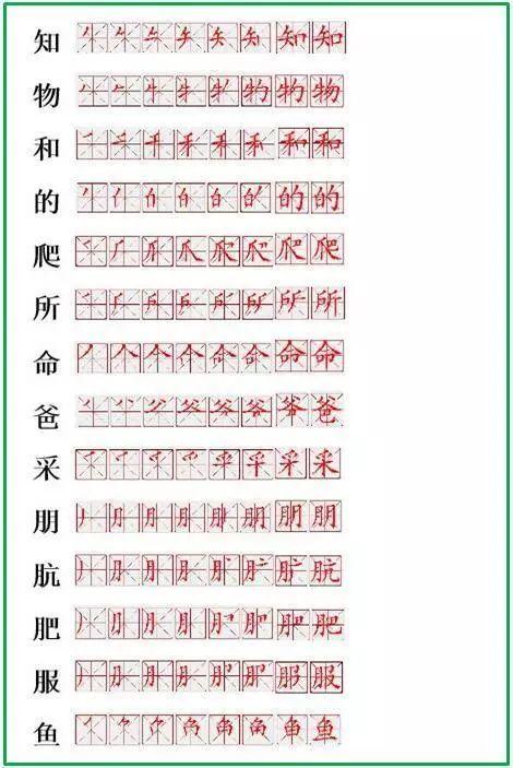 皮的笔顺怎么写，皮的笔顺怎么写演示（2019最新笔顺正确写法）