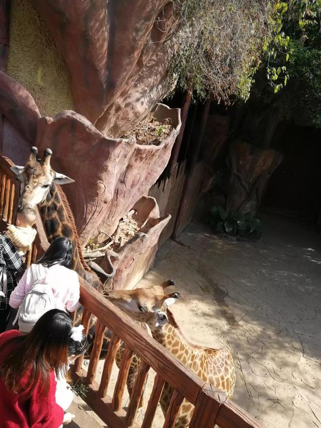 番禺有什么好玩的地方，番禺有什么好玩的（广州番禺旅游攻略<C篇>）