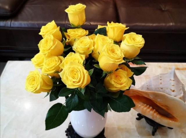 铃兰花的花语，从此买花送人不出错（铃兰花的花语与寓意）