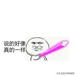 名词是什么意思，名词性物主代词是什么意思（名词的思维及可数与不可数的定义和区别）