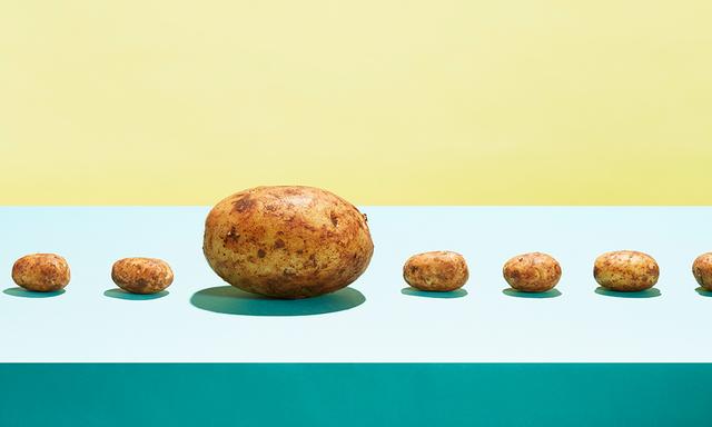 scientist是什么意思，neuroscientist是什么意思（根据词根猜-27，gene）