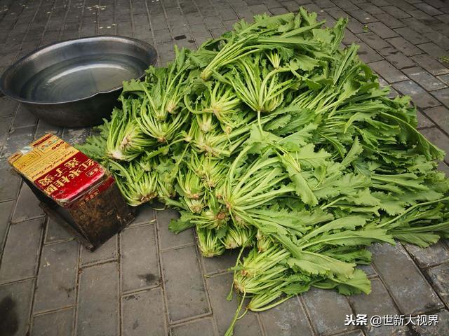 雪里红,“雪里蕻”这种菜你的家乡有吗(雪里红炖豆腐) 雪里红,“雪里蕻”这种菜你的家乡有吗(雪里红炖豆腐)