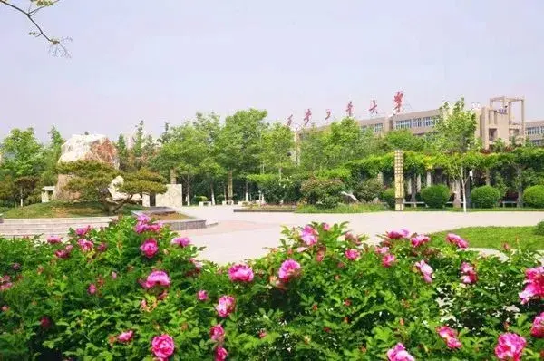 陕西所有大学排名，陕西所有大学排名一览表（陕西省高校排行榜）