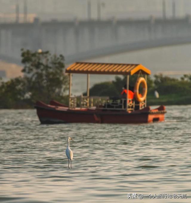 厦门最繁华的地方，厦门十大夜景最美的地方是什么（厦门却安静得令人心疼）