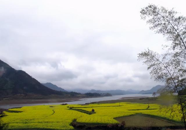 西沙湿地公园在哪，西沙湿地公园在哪个位置（崇明西沙、苏州太湖......长三角71个国家级湿地公园了解一下）