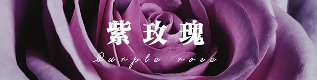 各种玫瑰花的含义，各色的玫瑰花有什么含意（一篇文章认全花店必备80种玫瑰花）