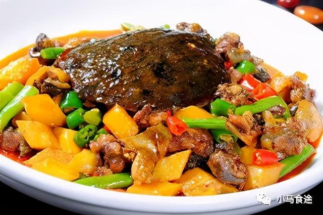 蒸甲鱼的做法，怎样做清蒸甲鱼（11款甲鱼做法）