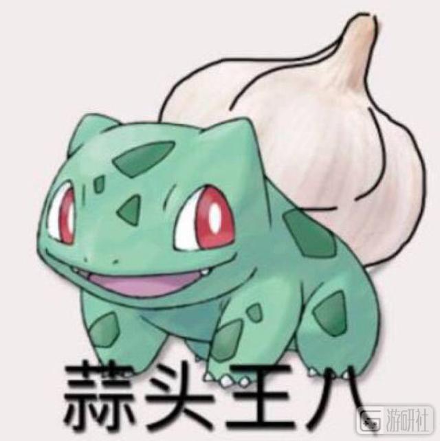 澳洲变异负鼠得名“皮卡丘”，酷似宝可梦的现实生物还真不少