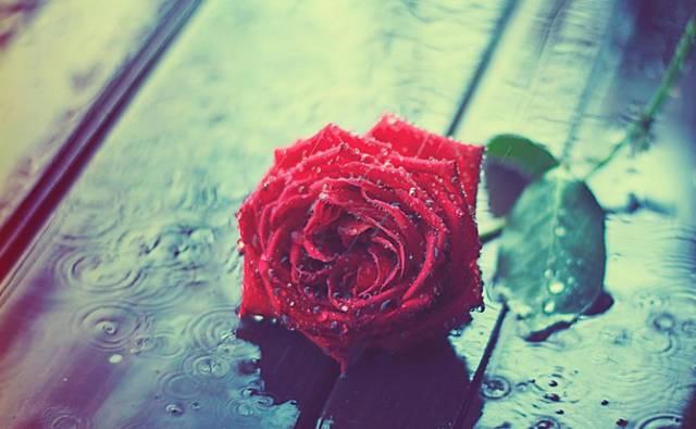 背景图  我喜欢你 天地可鉴，背景图ins风高级质感带字（明天520，致我最爱的人）