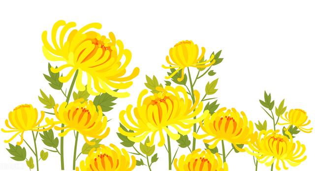 十二月花神，十二月花神（十二月花名歌）