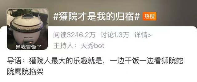 哈利为什么不能娶赫敏，赫敏最后恢复了父母的记忆吗（哈利波特为何没有跟赫敏在一起）