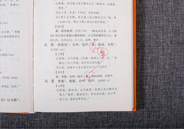 废什么意思解释，废字笔画笔顺（才能真正懂得中国的文化）