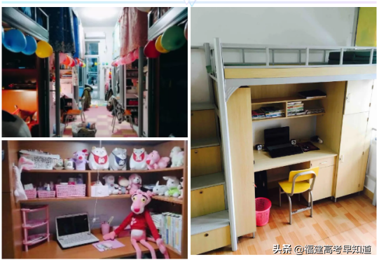 厦门东海学院怎么样，厦门东海职业技术学院怎么样（福建省专科院校食宿条件大比拼）