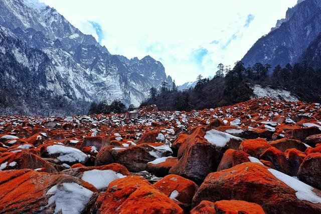 海螺沟海拔多少米，海螺沟海拔多少米有高反吗（带你三天领略低海拔冰川—海螺沟）