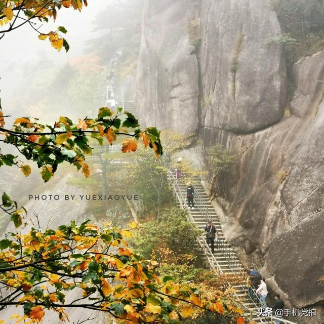 轻烟老树寒鸦什么意思，轻烟老树寒鸦前面一句是什么（不妨跟着“古诗”拍拍看）