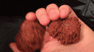 柠檬精是什么意思，柠檬树下柠檬精是什么意思（2019年网络流行语来了）