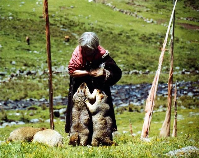 迥巴藏戏，迥巴藏戏 郎杰次仁事迹材料（遇见古碉·藏寨·美人谷）