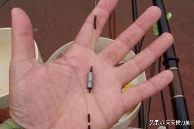 秋季南风天钓鱼怎么选钓位，注意钓法要能“防风”