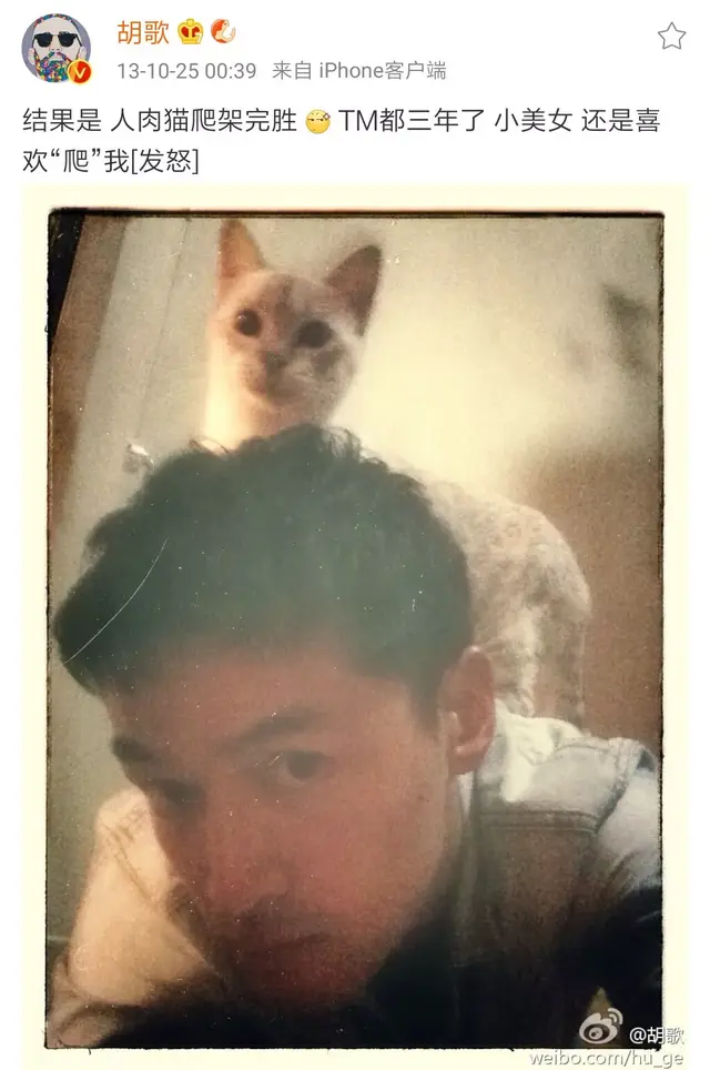 千万别和养猫的男生谈恋爱