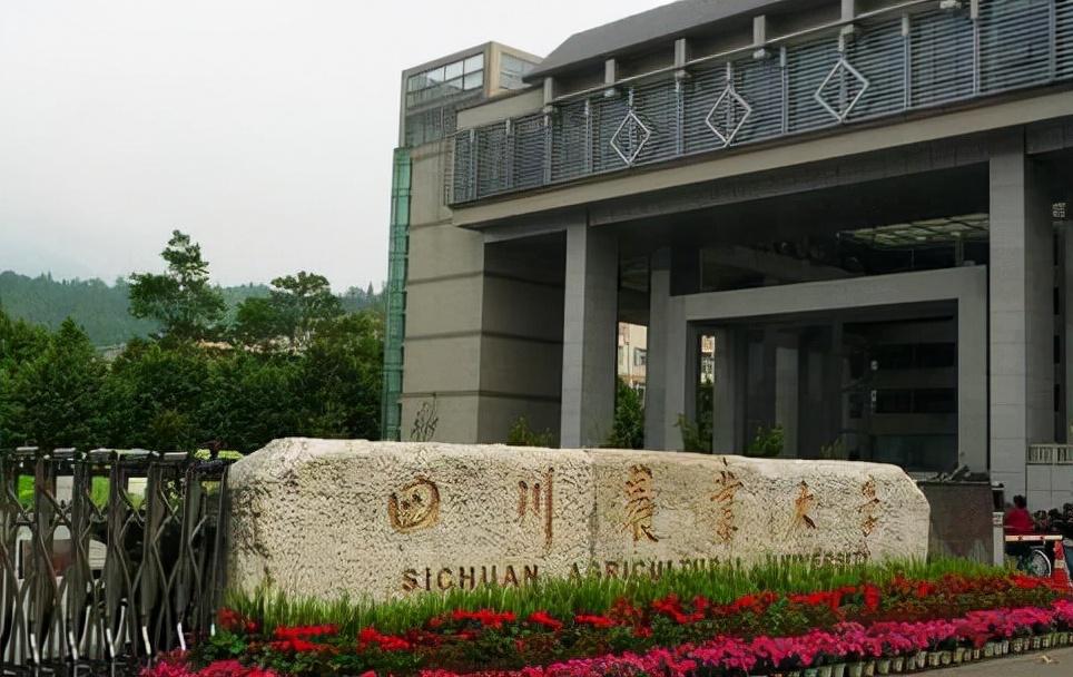 四川学校排名2017（四川地区最新大学排名出炉）