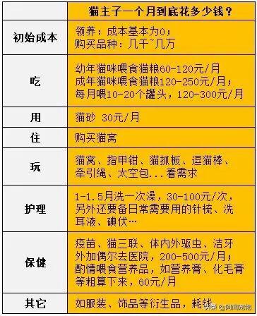 猫咪洗牙多少钱 猫咪洗牙一般价格