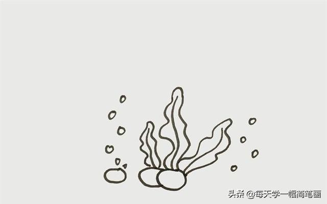 简笔画海草的画法图片