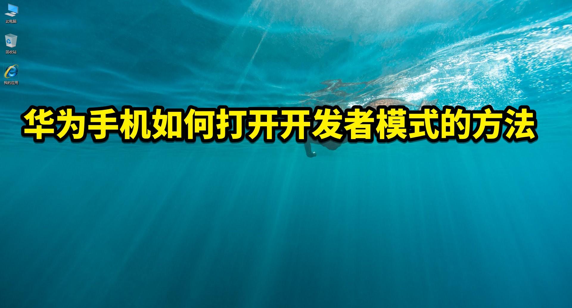 开发者选项怎么开（打开开发者模式方法）